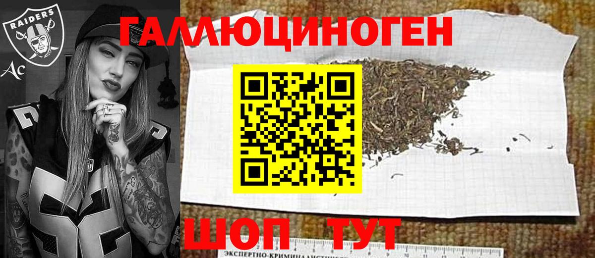 Псилоцибиновые грибы Psilocybine cubensis Новотроицк