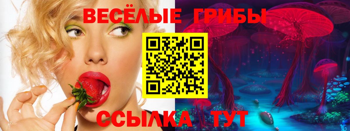 Галлюциногенные грибы мицелий  Вход с VPN  Новотроицк 